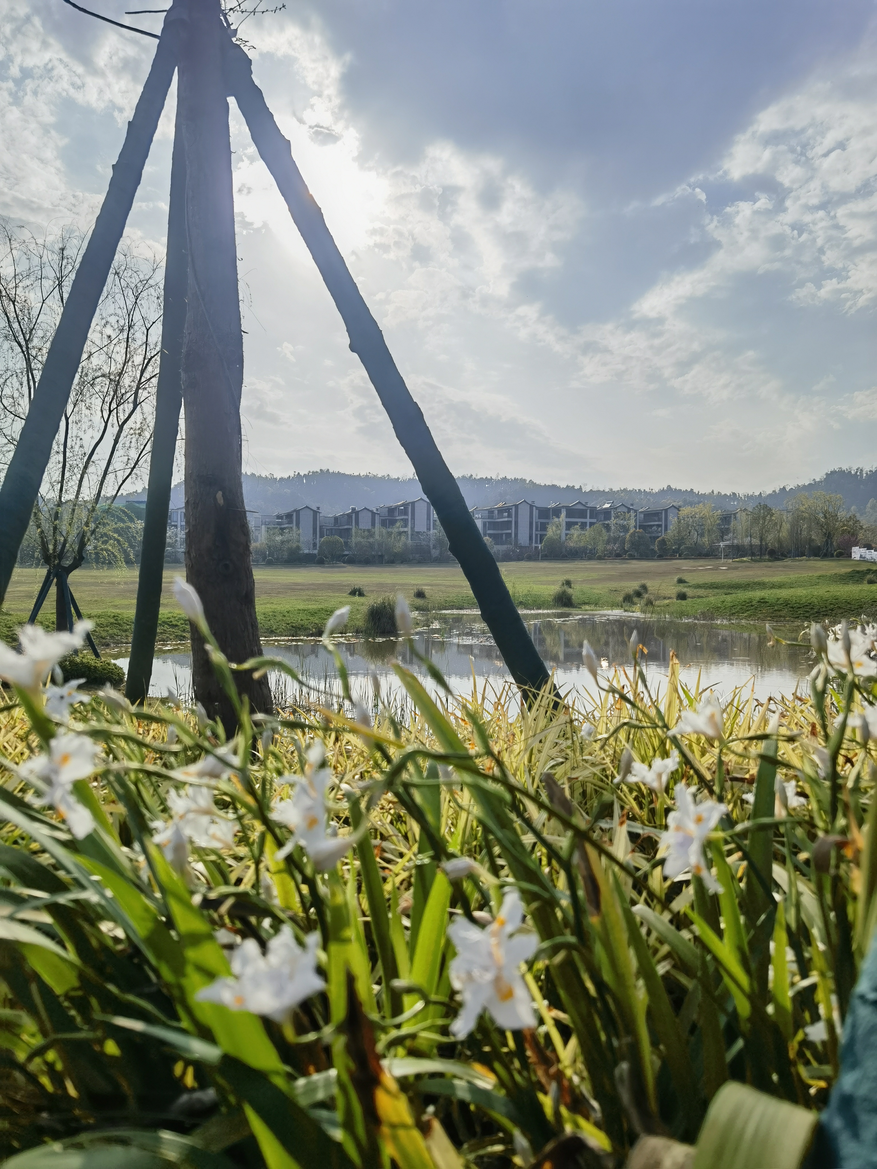 288万起，长沙“5A级墅区”入场券！麓隐青竹湖定义好房子标准