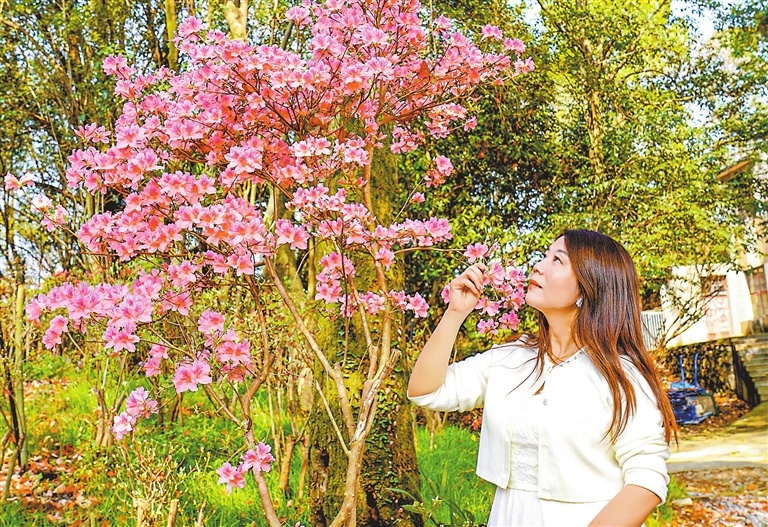九江：花海引客来 “流量”变“留量”（图）