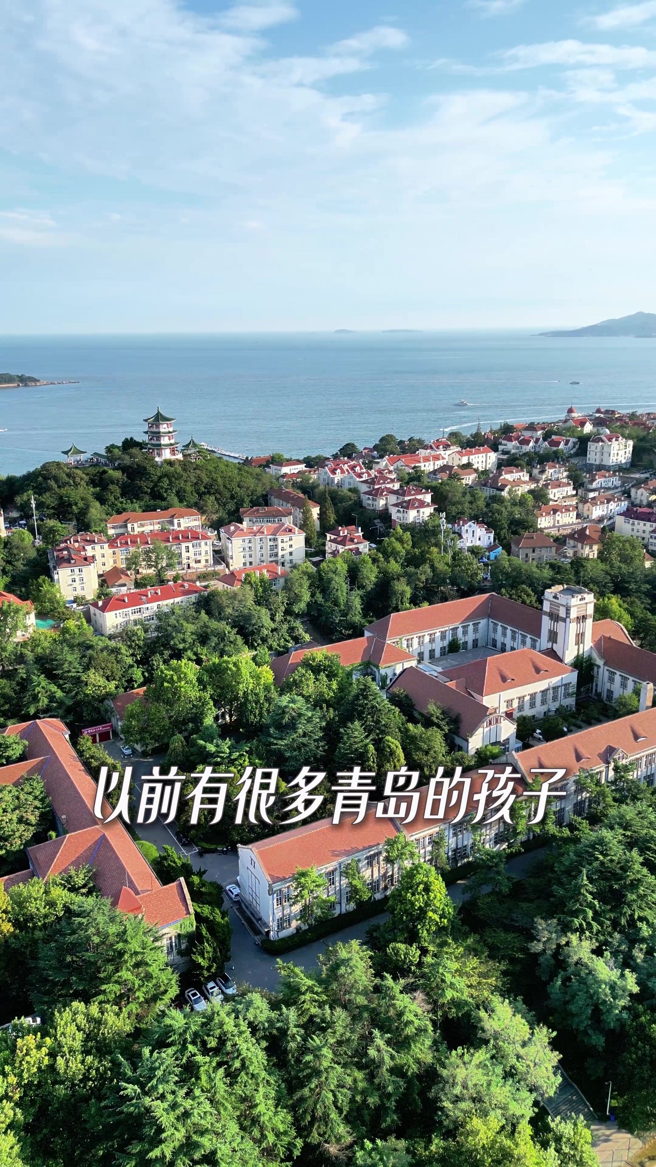 凤凰视频|海大樱花·花海市南·春意浓