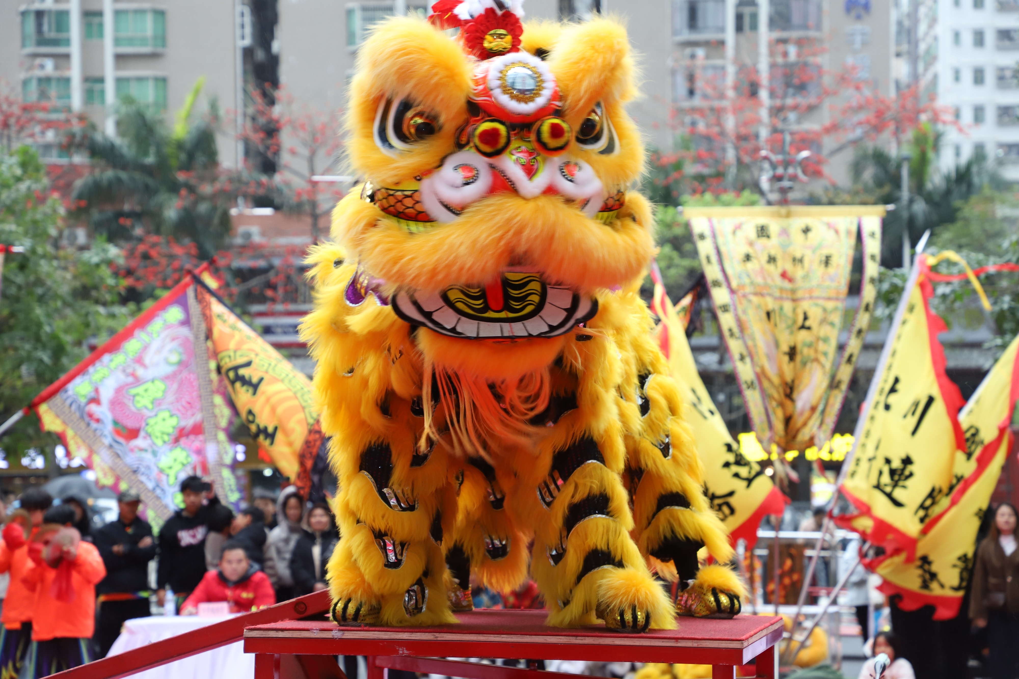 西乡北帝三月三庙会分会场暨“大仟里杯”&middot;南狮争霸赛