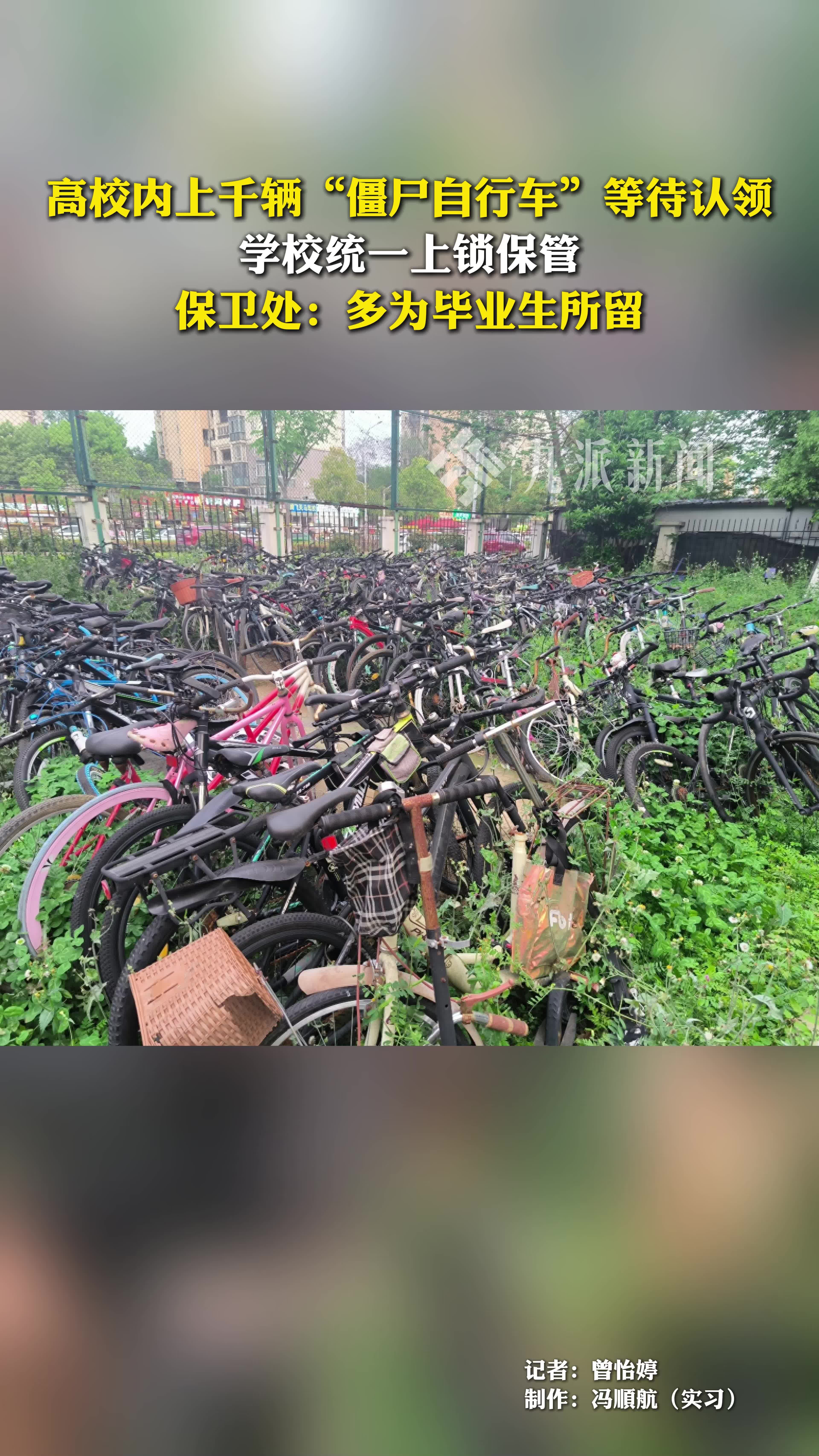 高校内上千辆“僵尸自行车”等待认领，学校统一上锁保管