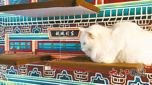 猫咪趴在“滕王阁”上