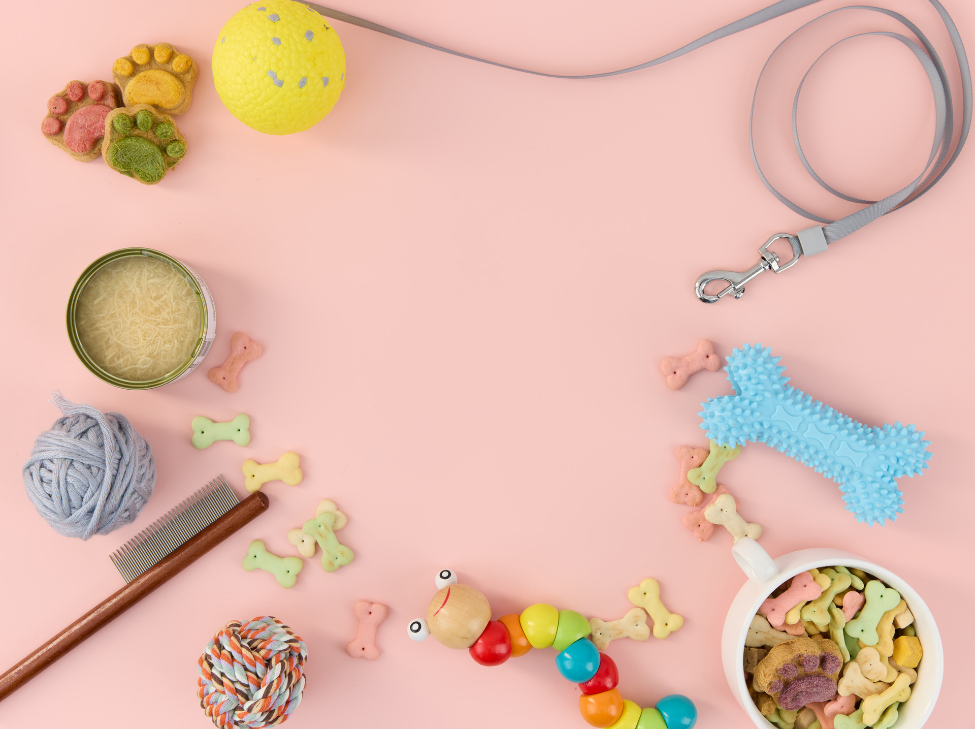 单项最高奖补600万 西海岸十条新政促进宠物产业发展