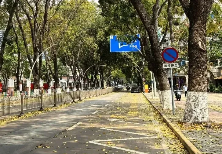 出行需注意！中山东文路停车、通行规则全新调整