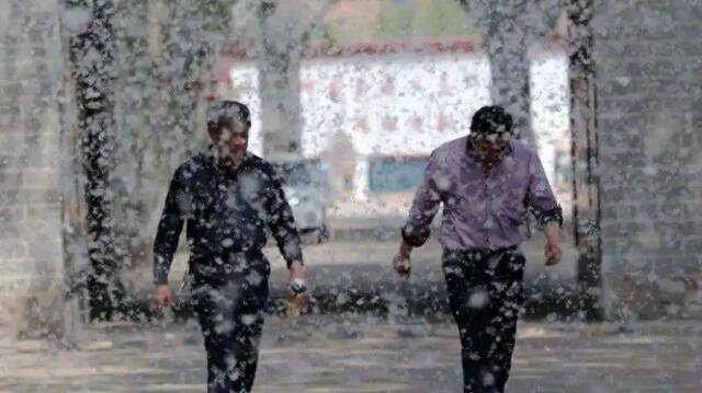 四月北京：杨柳飞絮为什么治了这么久还没治好？