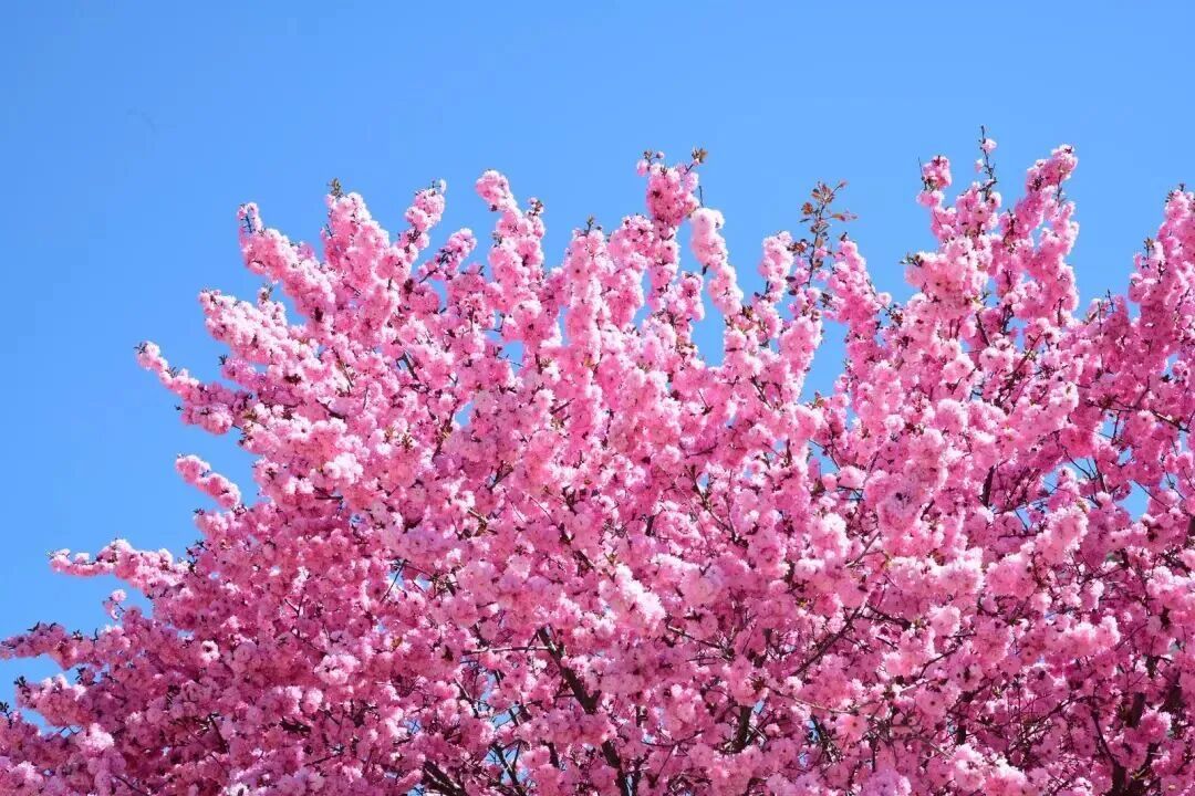 来源：天祝融媒