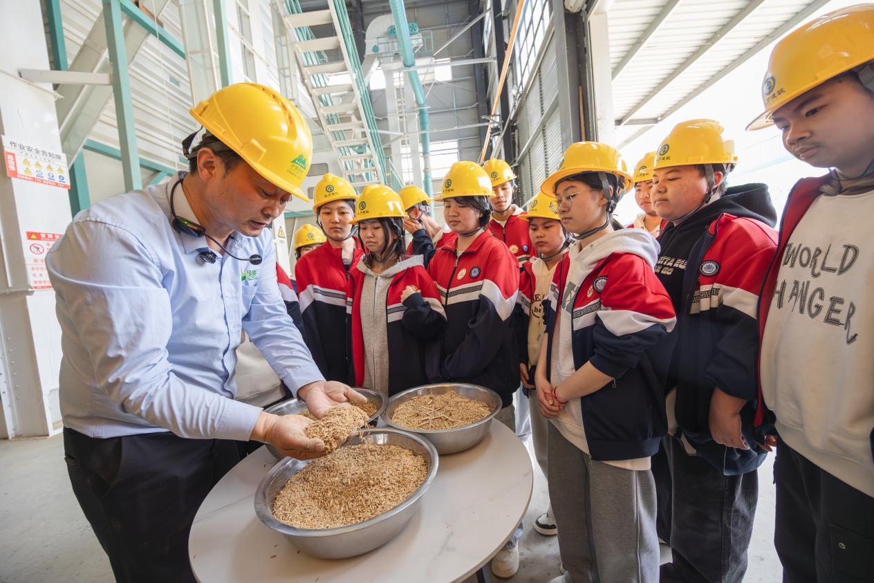 实地了解粮种与粮食生产现代化