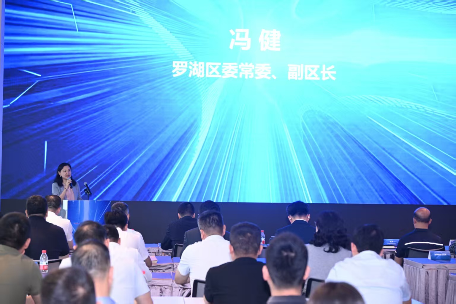 高质量医疗语料发布！罗湖激活“数据&times;AI”产业发展新动能