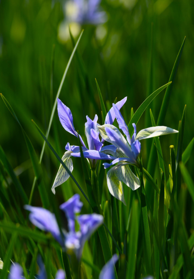 来源：天祝融媒
