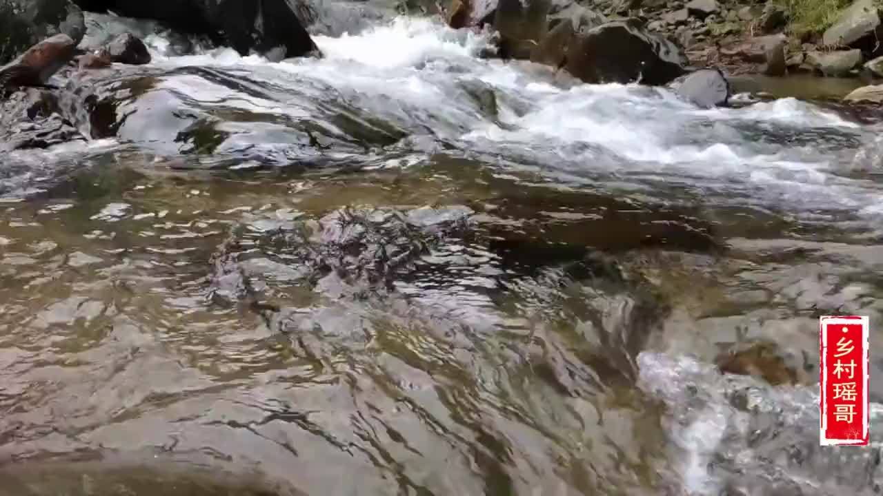 吃了半辈子的鳝鱼，头一次见这做法，真是高手在民间