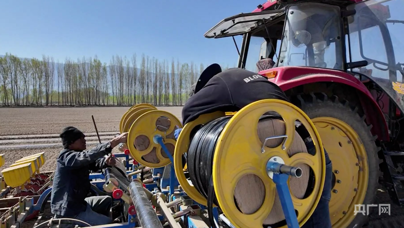 村民们在洋葱种植田间忙碌劳作 （尚时春雨 摄）