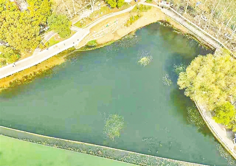 九江“两湖”围隔引热议 媒体揭秘：不是养殖网，是生态“守护者”