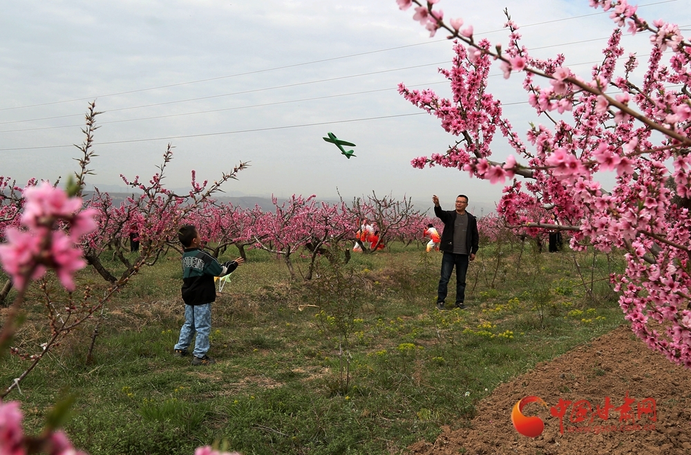 游客在桃林里游玩