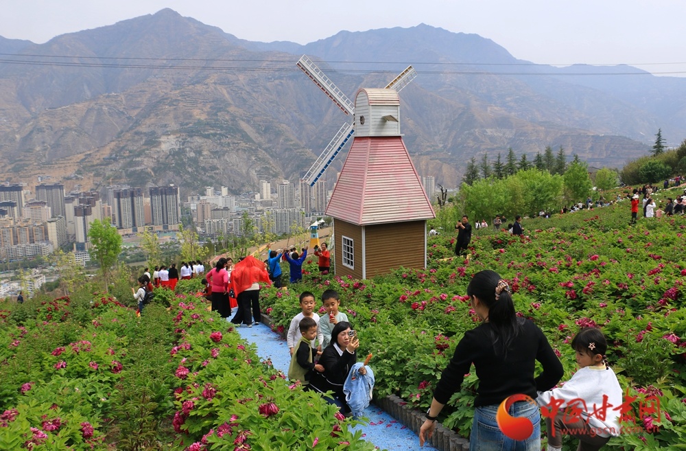 风车静立添野趣，游人簇拥花间醉。