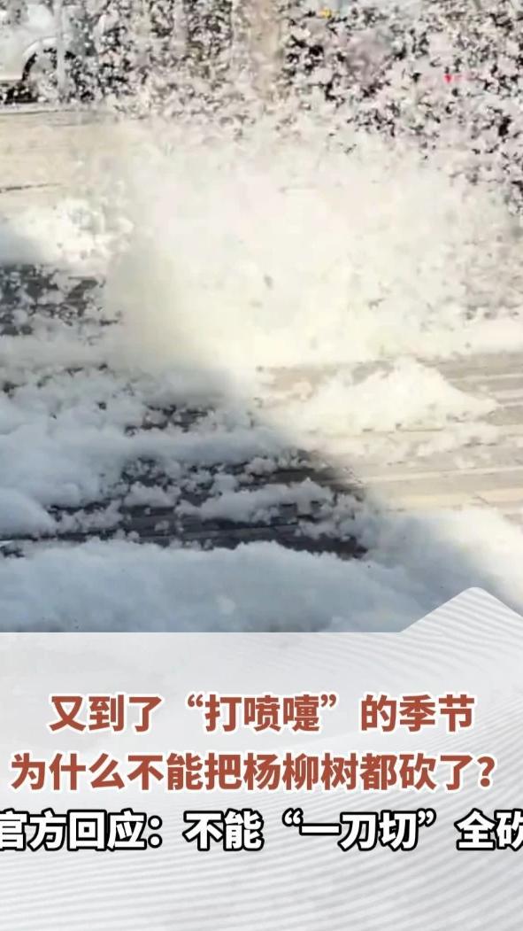 又到了“打喷嚏”的季节，为什么不能把杨柳树都砍了？官方回应：不能“一刀切”全砍，通过科学手段逐步减少飞絮总量