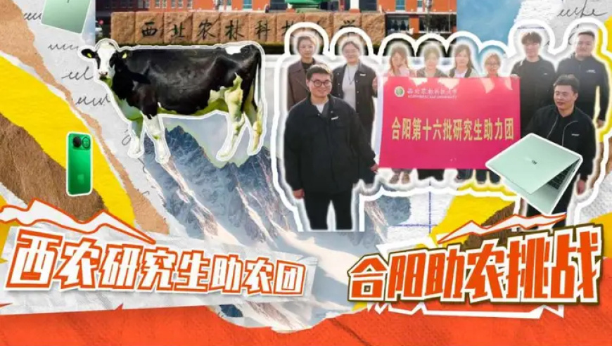 把青春献给土地，西北农林科技大学研究生助农团在合阳，用现代科技的力量帮老乡创造更好收成
