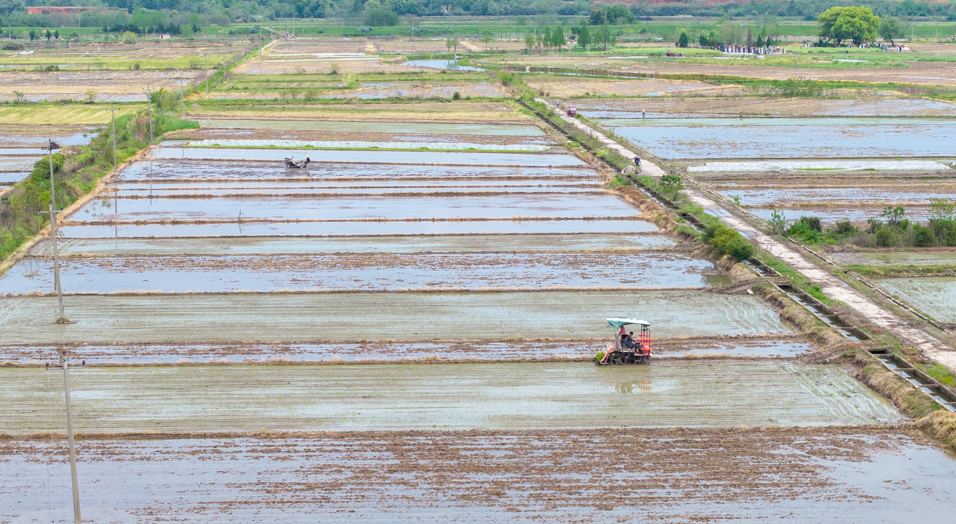 罗坊栽插、姚圩翻耕，新余渝水各地抢抓农时忙春耕