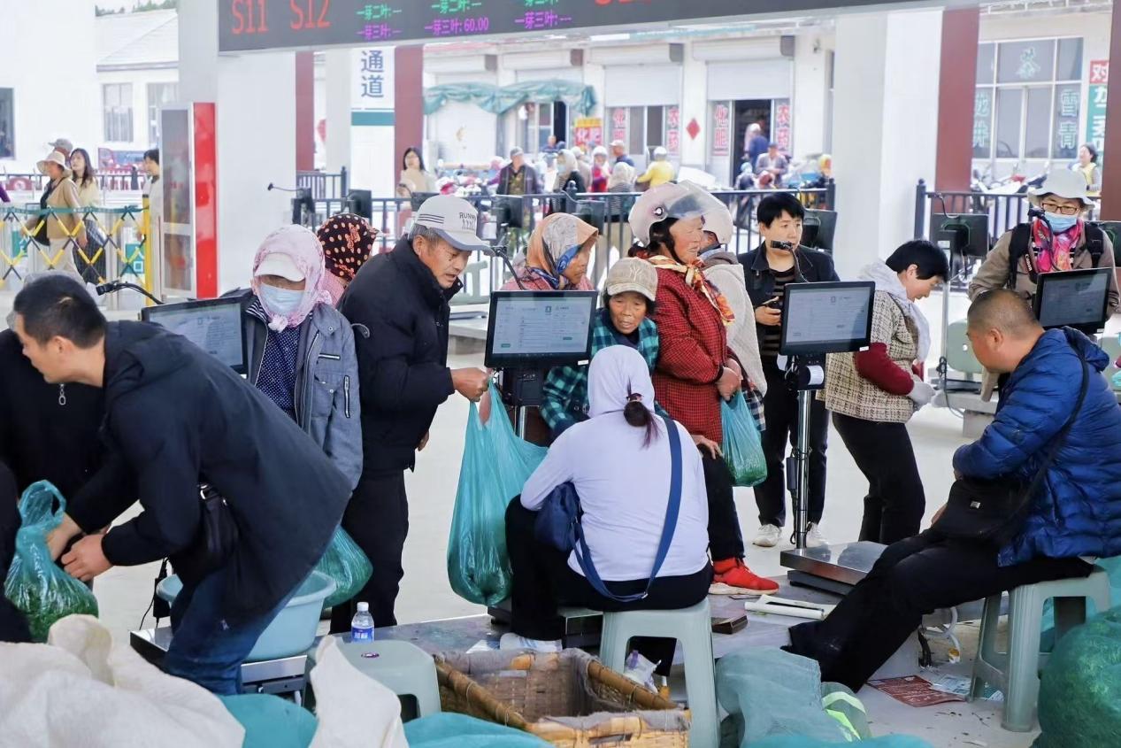 （图源：大众网）