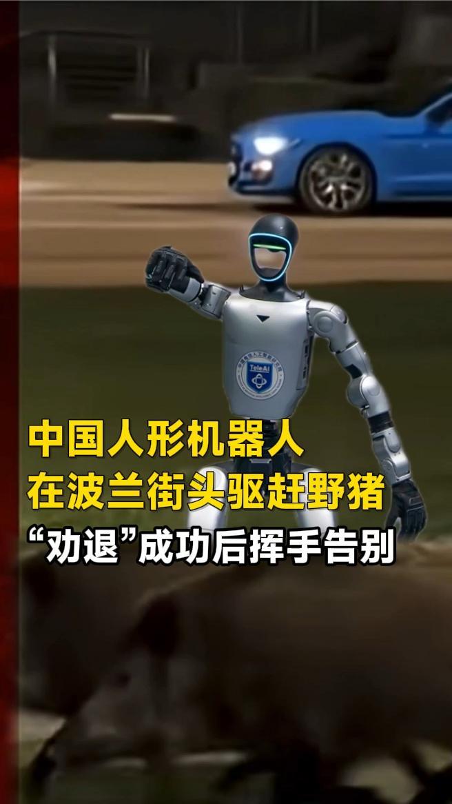 中国人形机器人在波兰街头驱赶野猪，“劝退”成功后挥手告别