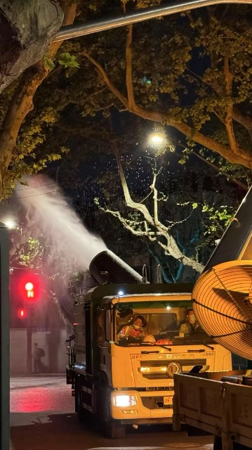 上海市徐汇区行道树果毛飘絮物理治理　图源：上海市人民政府