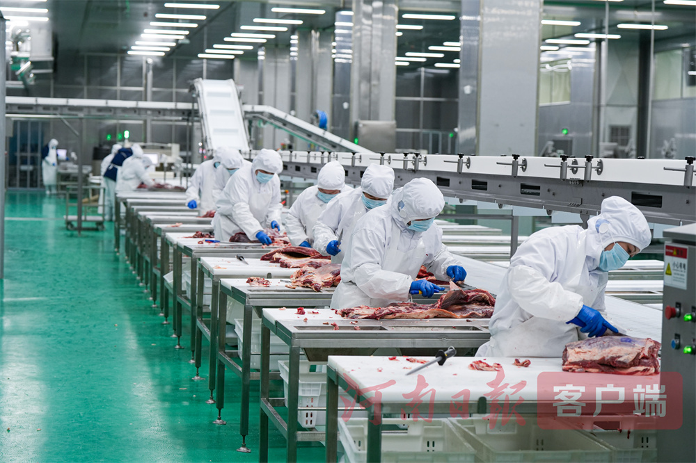 南洋优鲜超级工厂日处理200吨进口牛肉的国际标准牛肉加工生产线已开始生产。 (1).jpg