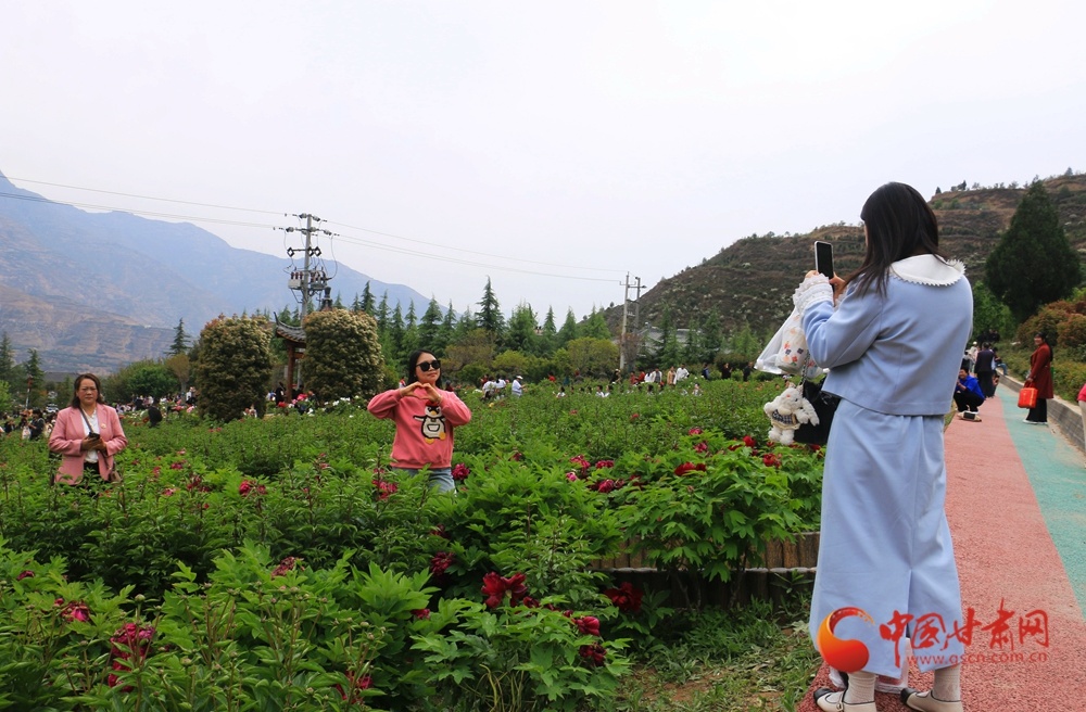 翠岭环抱牡丹艳，游人举起相机留盛景。