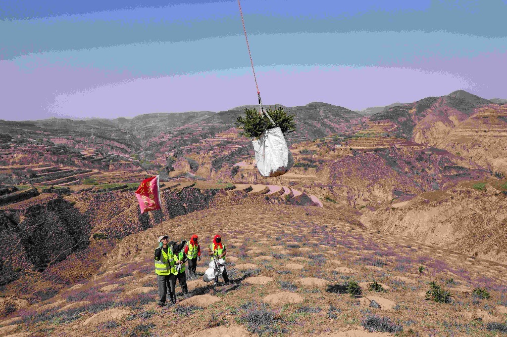 无人机运输树苗