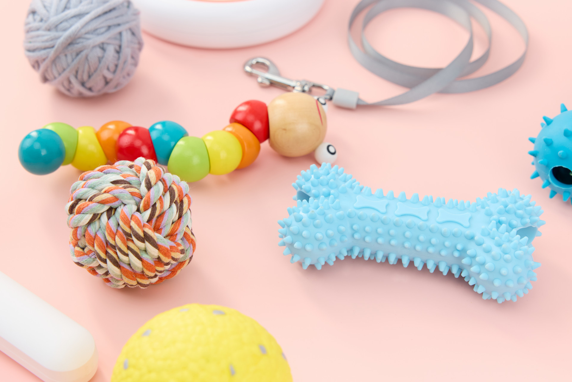 十余年时间耐心深耕 即墨竞逐“人宠共生”新赛道