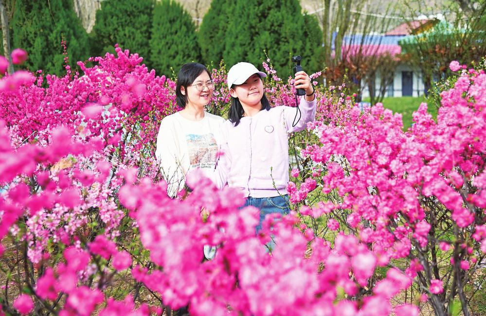 兰州市民漫步花海里，拍照定格春日美景。