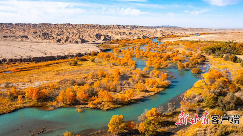 疏勒河下游胡杨林　甘肃省水利厅提供