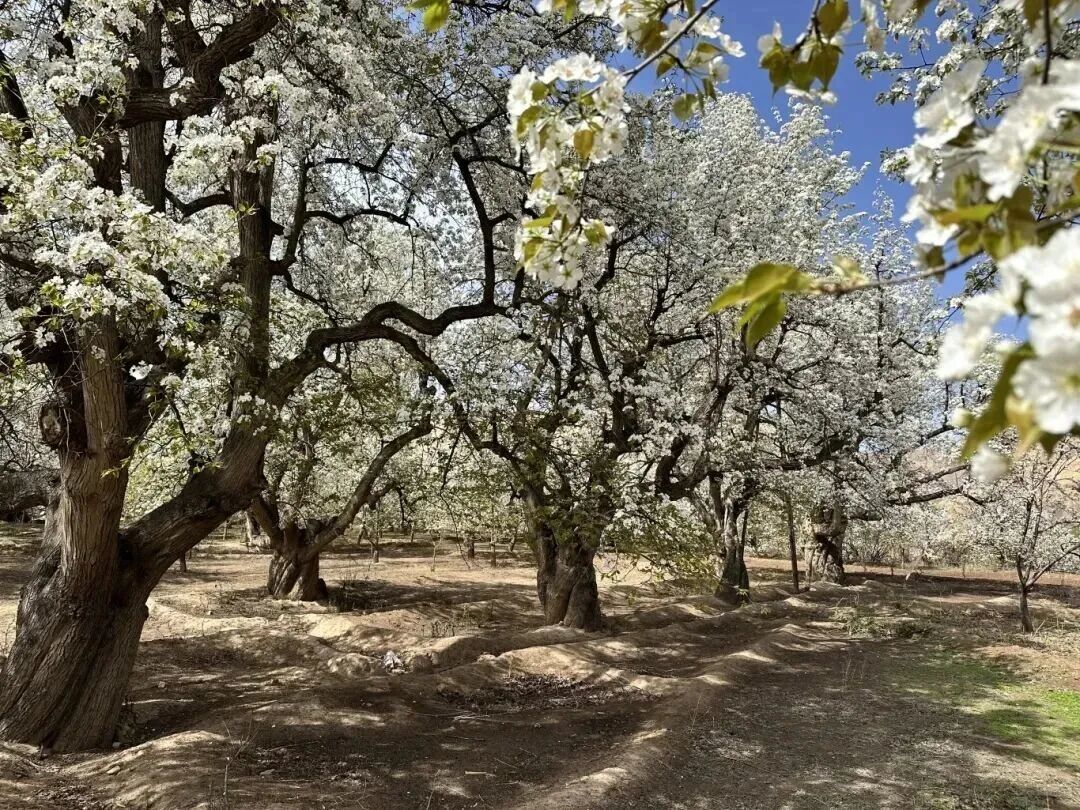 图源：靖远电视台