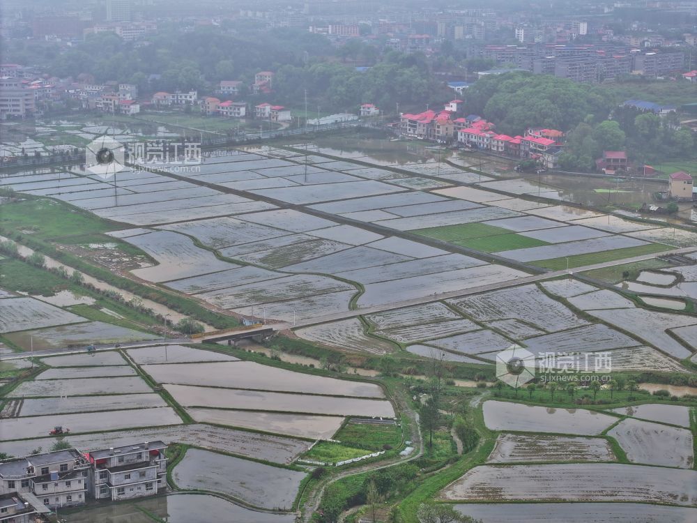 江西芦溪：建设高标准农田（图）