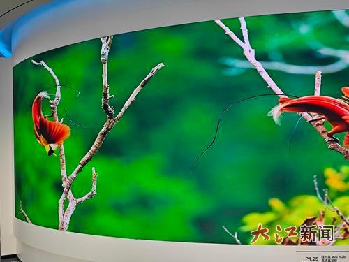 “晶能光电”硅衬底Mini RGB高清直显屏