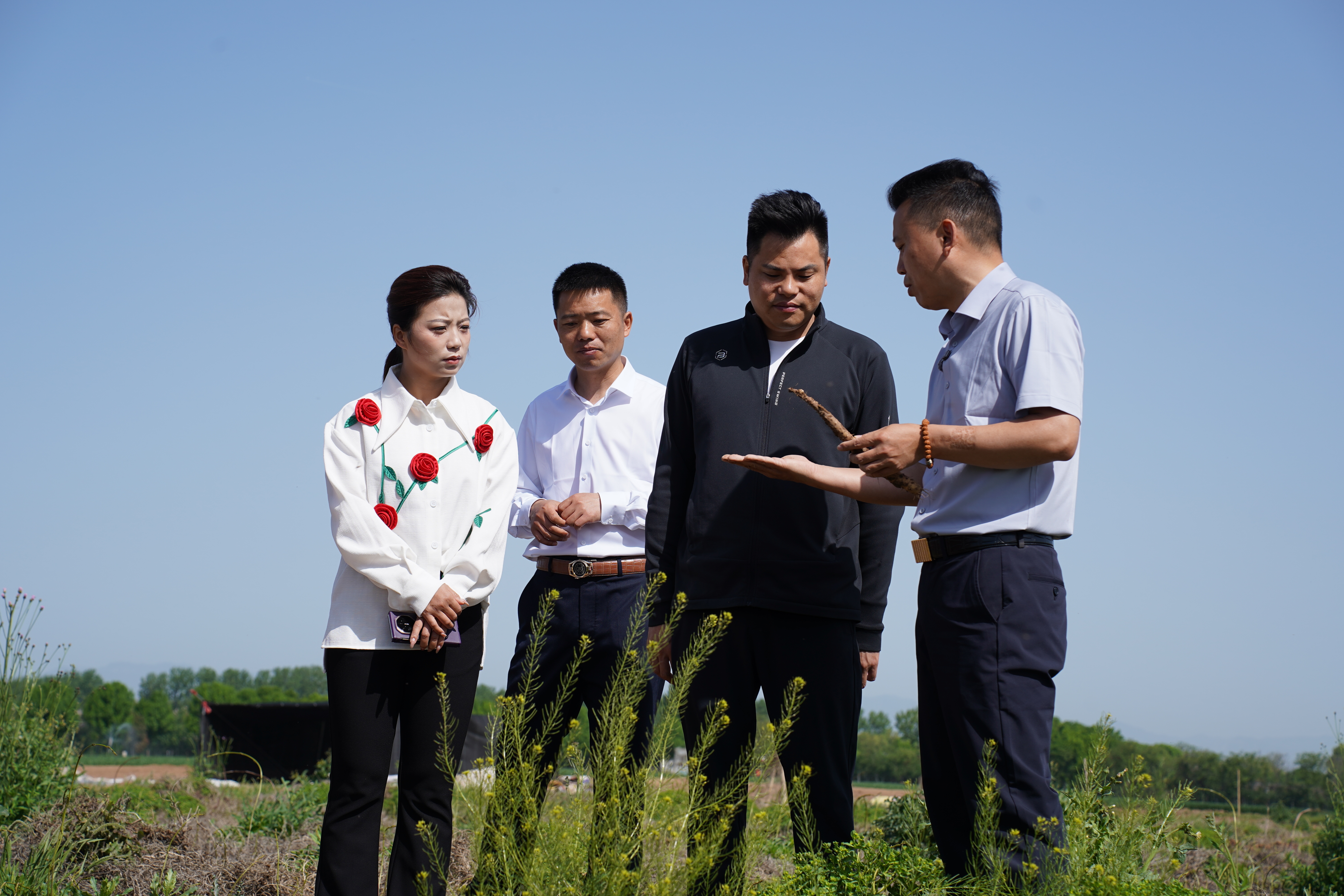 1334万！远方安选携手张宝山，让焦作铁棍山药圈粉大湾区