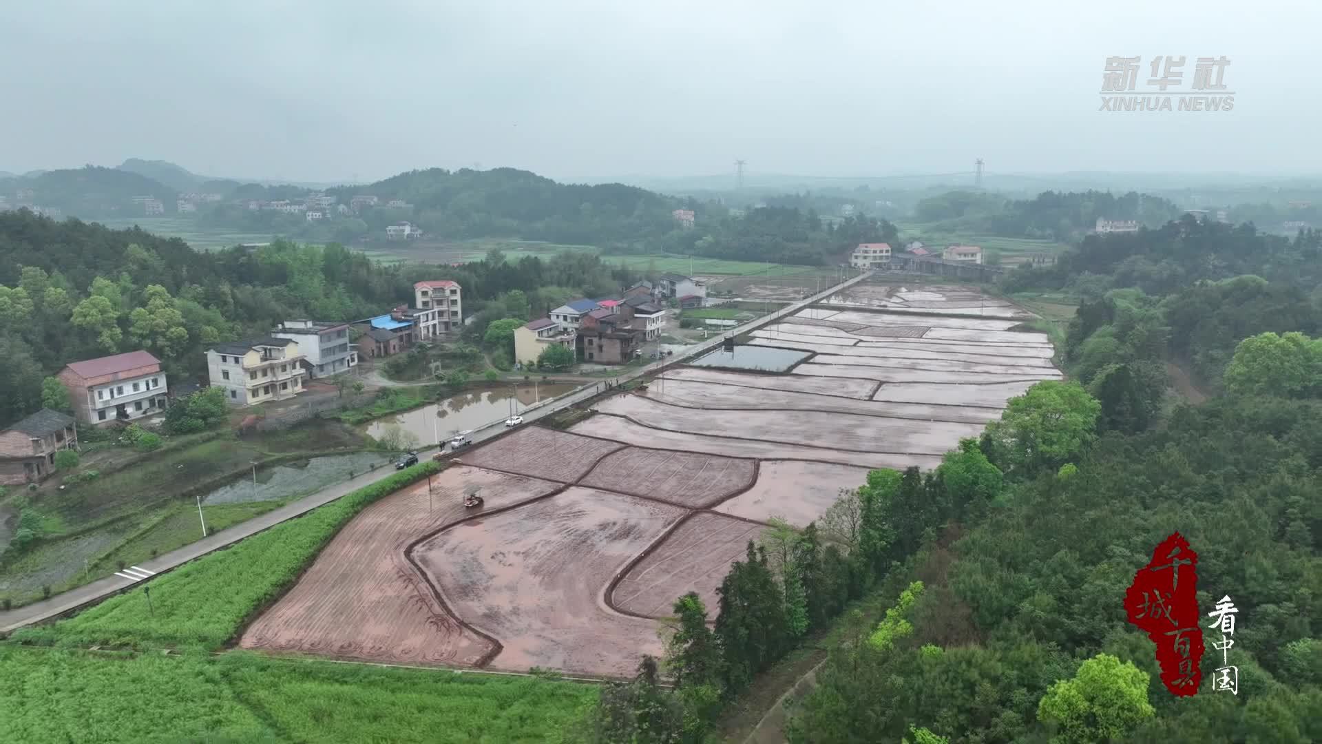 千城百县看中国｜湖南衡阳：机械化助力早稻高效移栽
