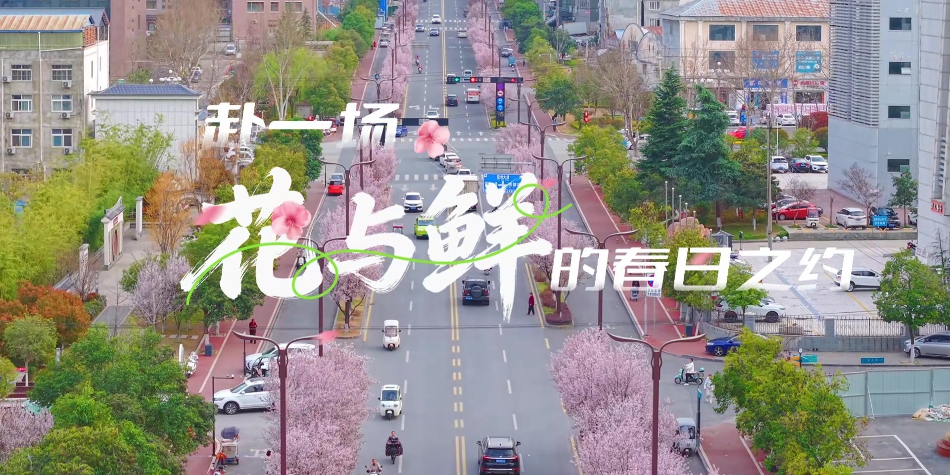 春醒·神奇栾川｜赴一场花与鲜的春日之约