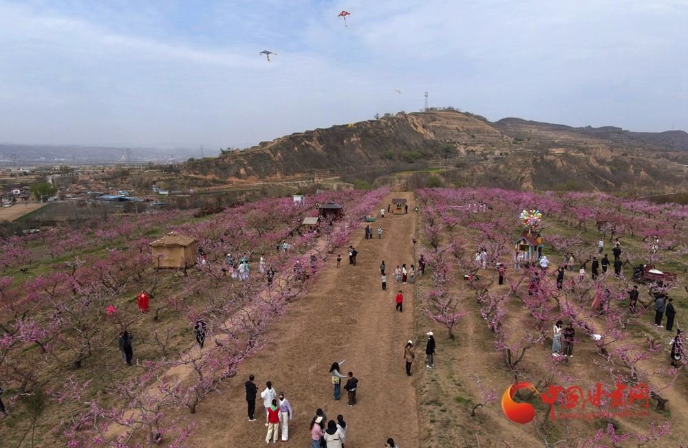 游客游玩赏花（无人机照片）