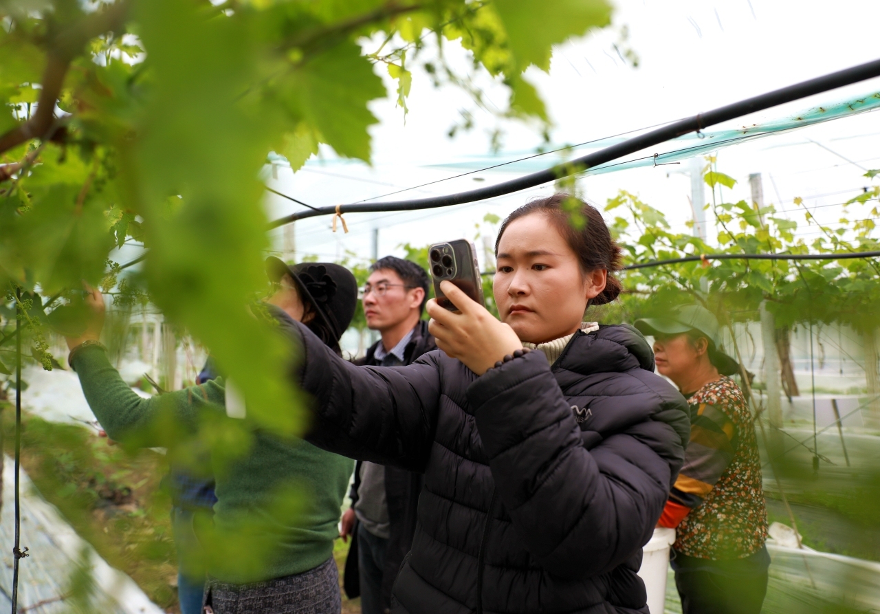 东西协作 | 从大凉山到东海之滨：一位彝族“95后”农技干部的“取经”之旅