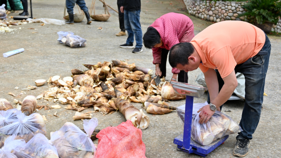 莲都发布 (2).jpg