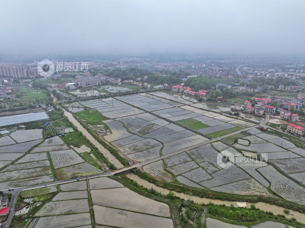 江西芦溪：建设高标准农田（图）