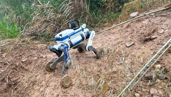 云深处发布全国首个防汛防台具身机器人：支持隐患巡查、险情侦察