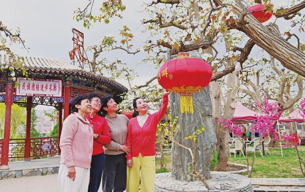 皋兰什川梨花正盛，吸引游客前来踏青赏花。