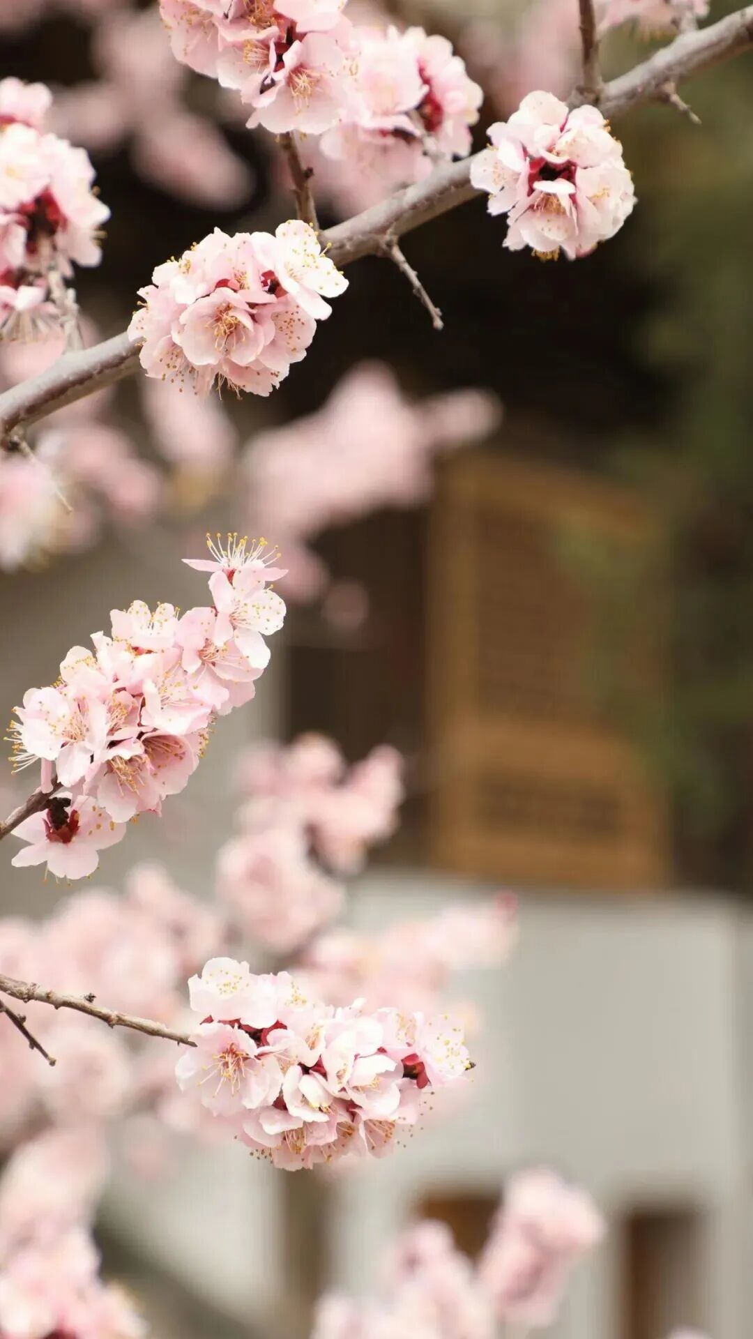 来源：天祝融媒