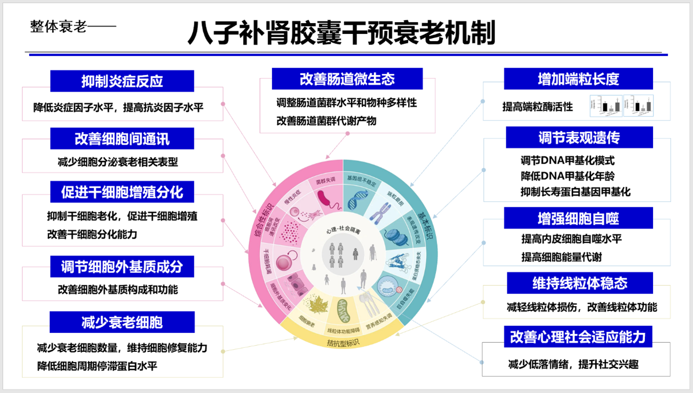 吴以岭院士分享气络学说指导抗衰老研究丰硕成果，助力健康老龄化