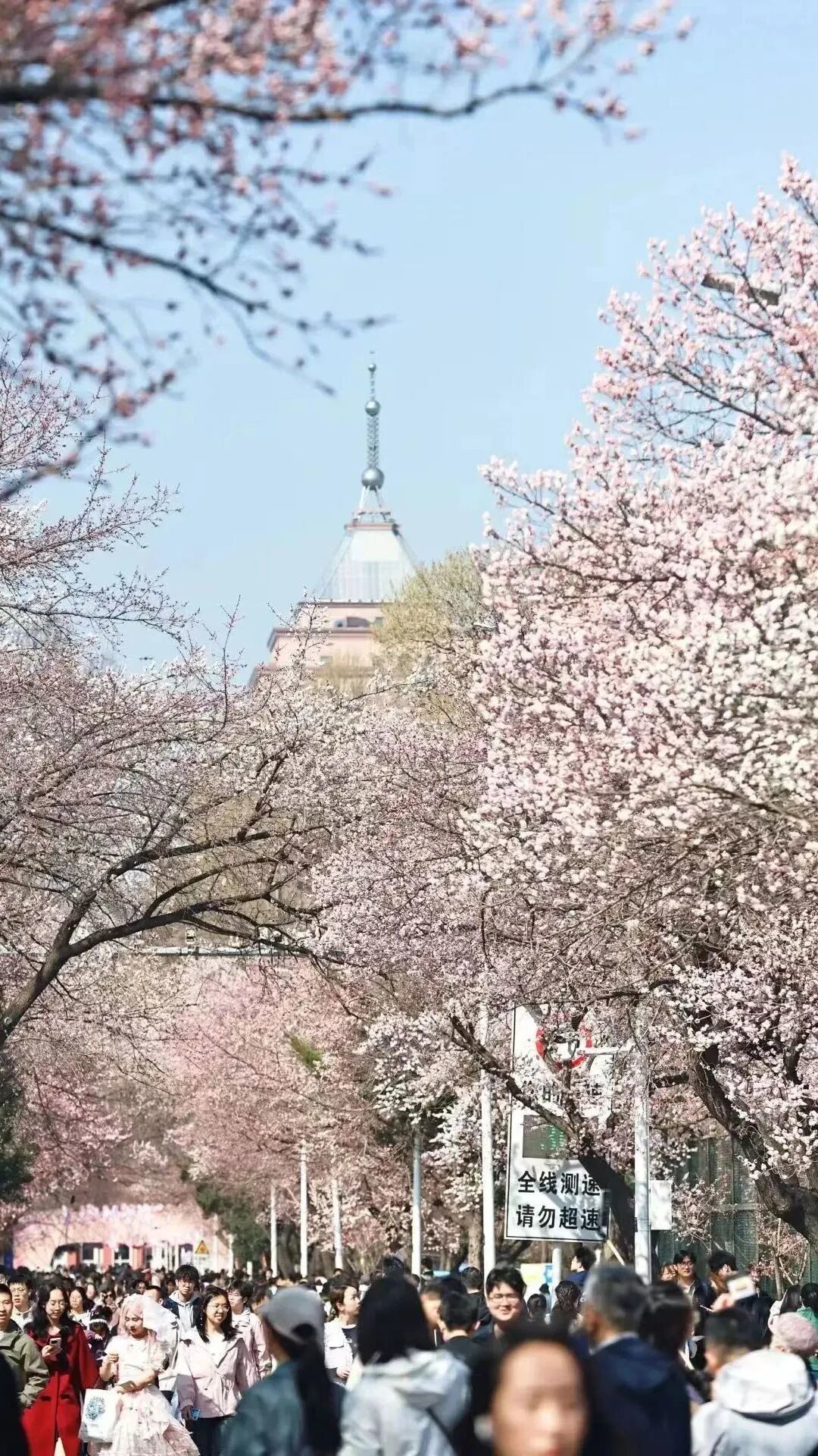 微信图片_2026-04-14_212532_271.jpg