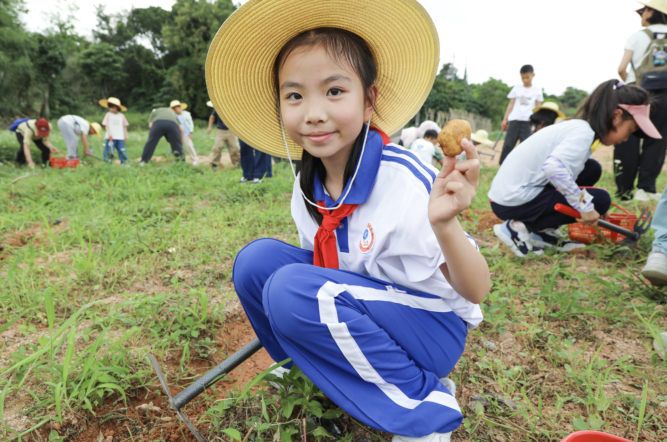 食安小课堂 节粮我先行  “提升消费品质”深圳市消费教育活动