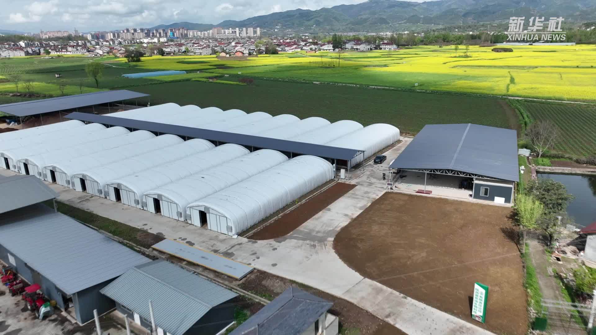 陕西汉中：科技赋能特色农业提质增效