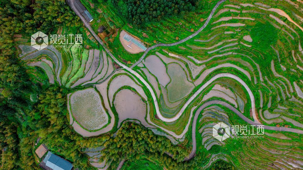 2026年4月12日在江西省吉安市遂川县左安镇桃源梯田拍摄的画面。
