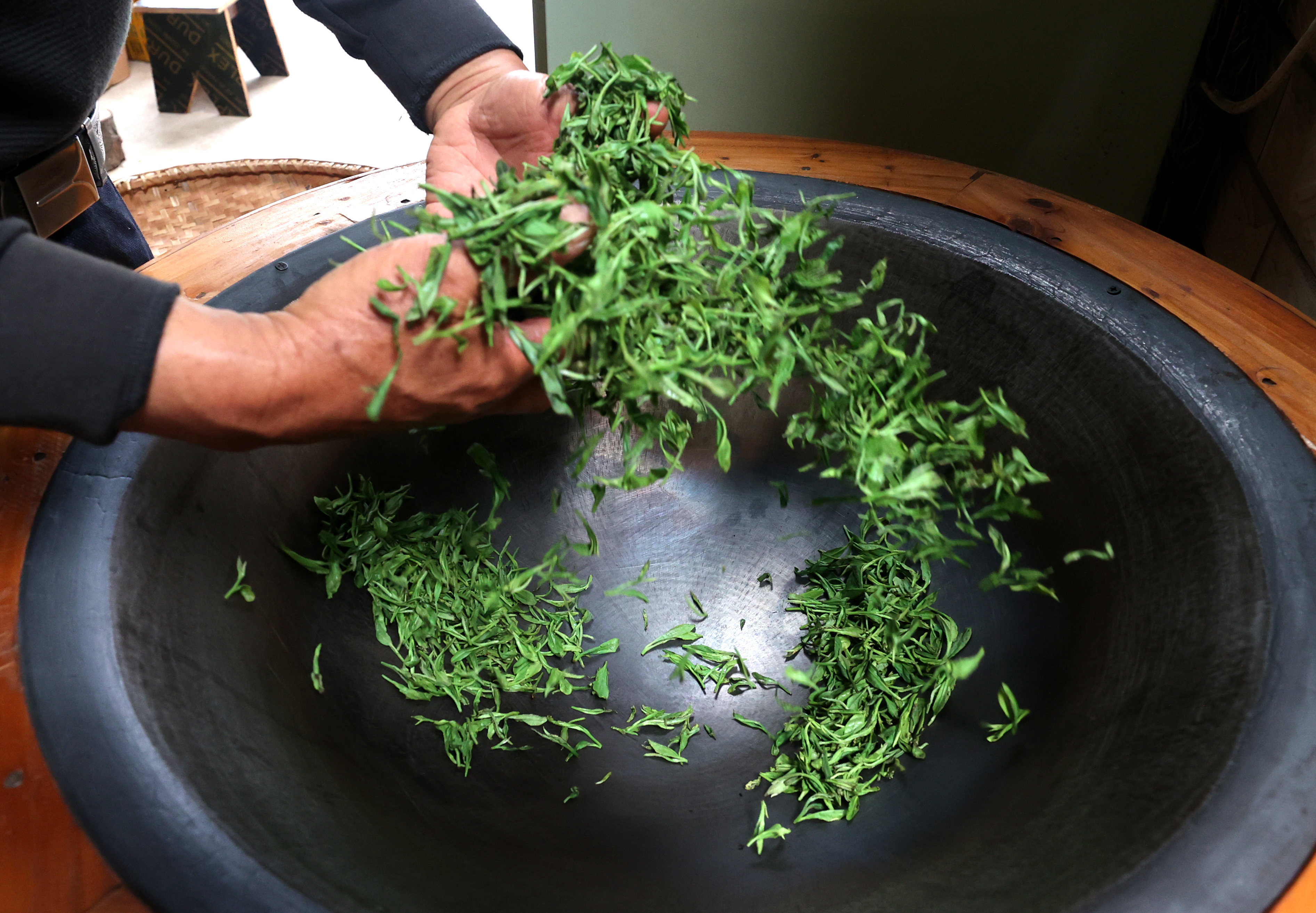 九江湖口：手工制茶传古韵 春茶飘香富农家