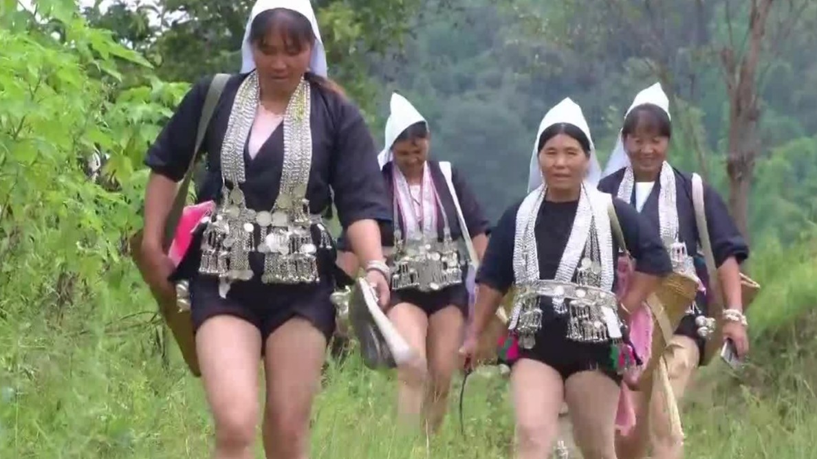 在哈尼族眼中，奕车女子服饰显露出的女性之美，是强健、勤劳的象征和标志